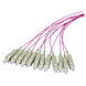 Cavo di collegamento in fibra di vetro OM4 viola LC - 12 pezzi