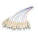 Set di 12 pezzi di cavi di collegamento colorati in fibra di vetro OM3 SC - 12 pezzi